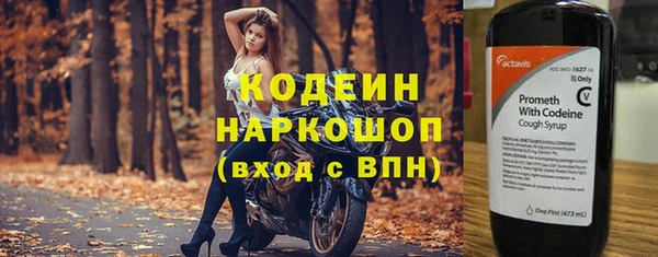 прущий лед Нея