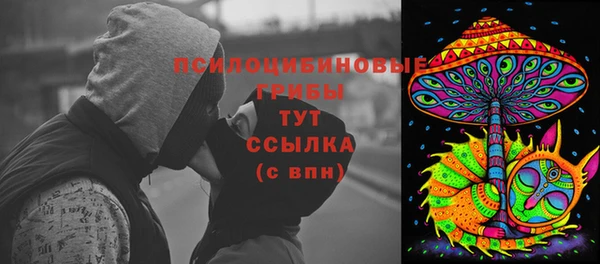 гидропоника Абаза